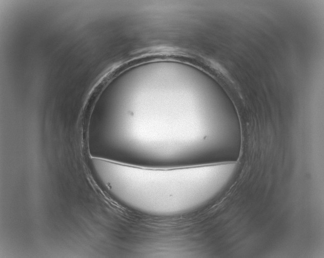 X0000056321318200508260840