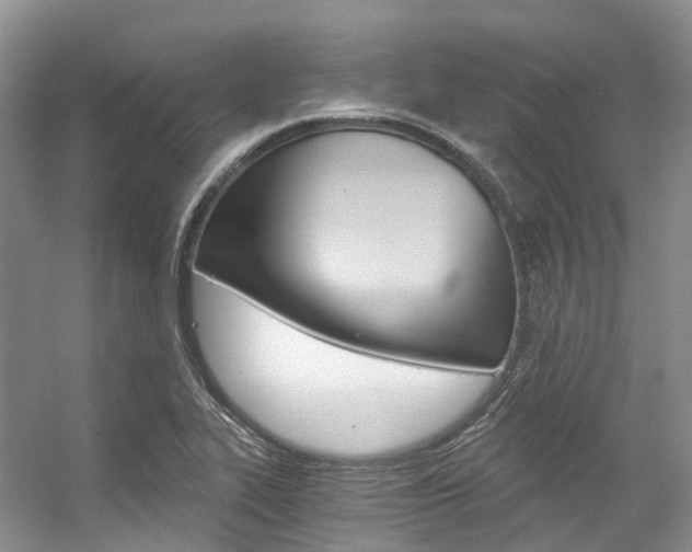 X0000056321319200508260841