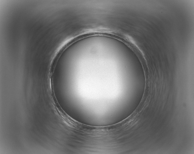 X0000056321320200508260841