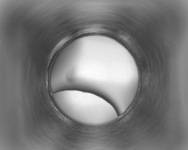 X0000056321322200508260841