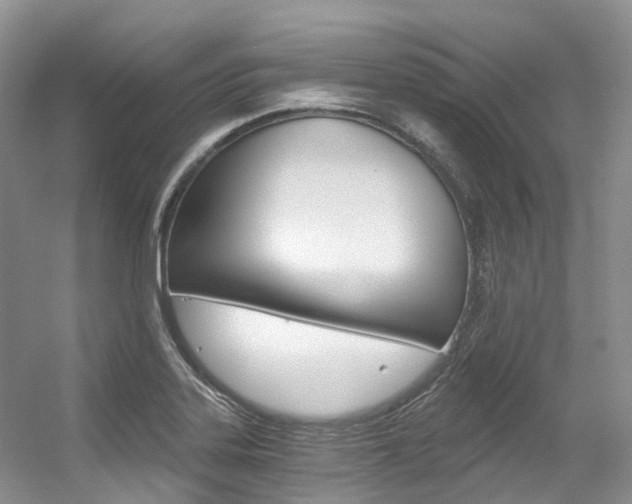 X0000056321323200508260841