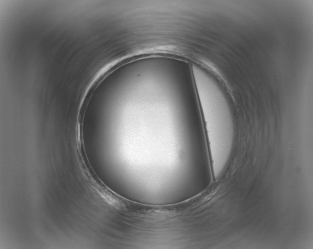 X0000056321324200508260841