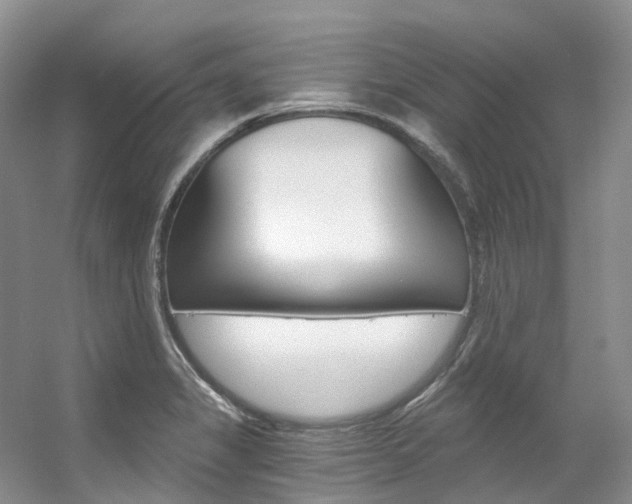 X0000056321325200508260841
