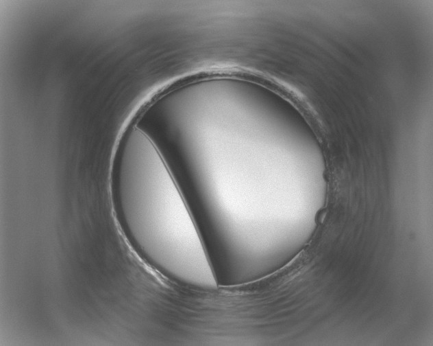 X0000056321327200508260841