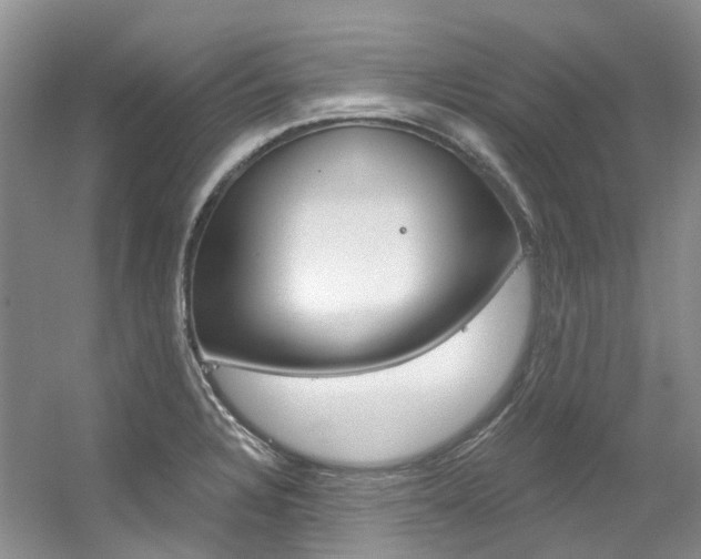 X0000056321328200508260841