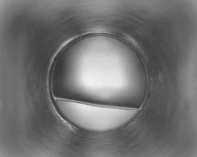 X0000056321331200508260841