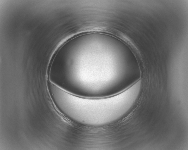 X0000056321332200508260841