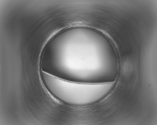 X0000056321333200508260841