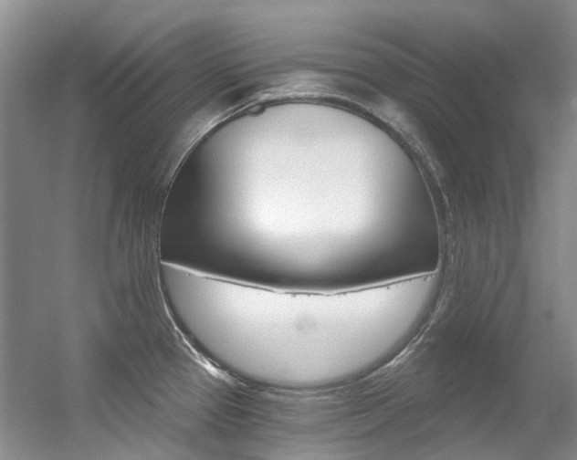 X0000056321337200508260841
