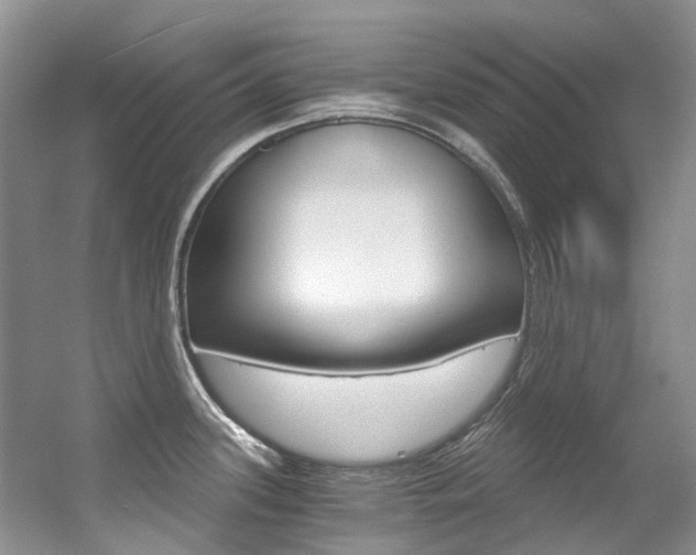 X0000056321339200508260841