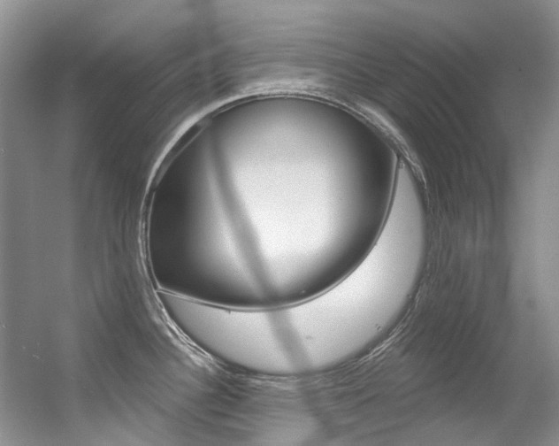 X0000056321340200508260841