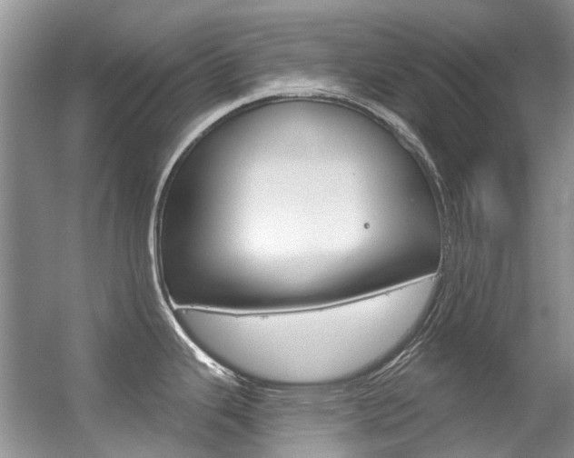 X0000056321343200508260841