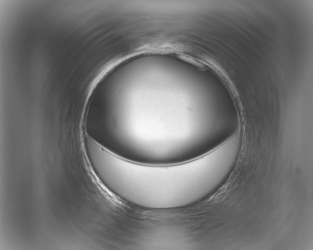 X0000056321344200508260841