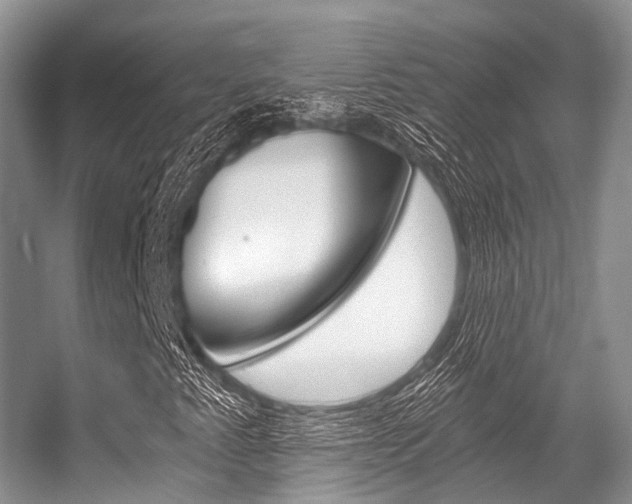 X0000056321345200508260840