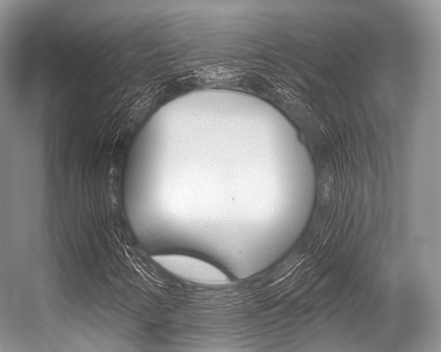X0000056321346200508260840