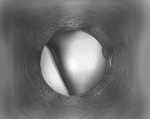 X0000056321347200508260840