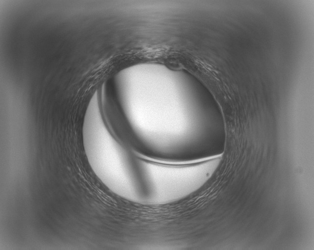 X0000056321349200508260840