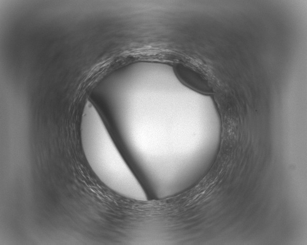 X0000056321350200508260840