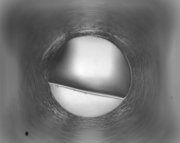X0000056321351200508260840
