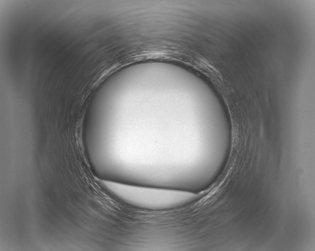 X0000056321353200508260840