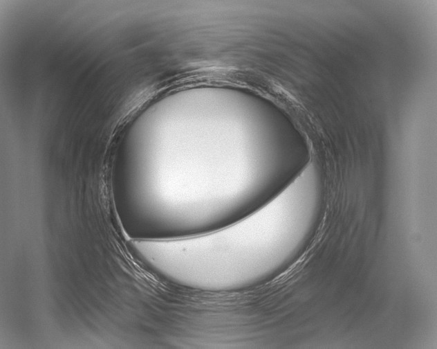 X0000056321354200508260840
