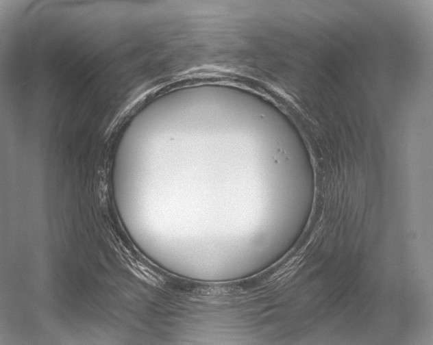 X0000056321355200508260840