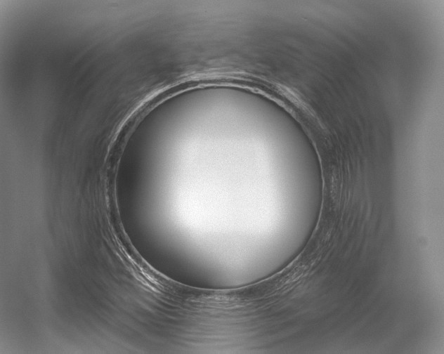 X0000056321356200508260840