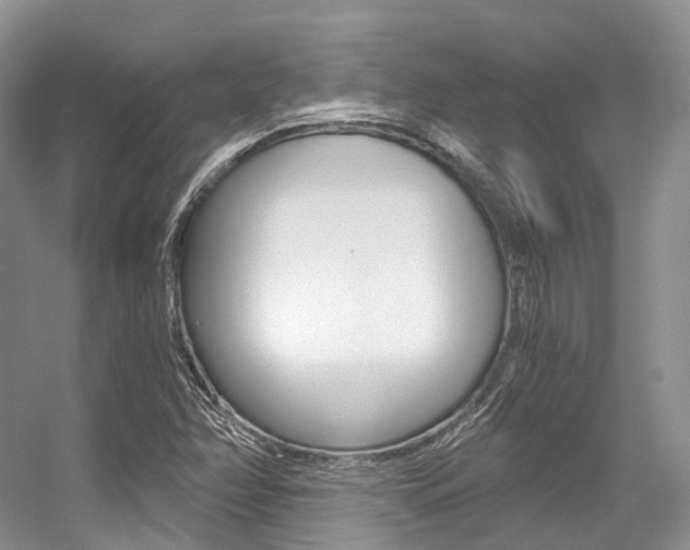 X0000056321358200508260840