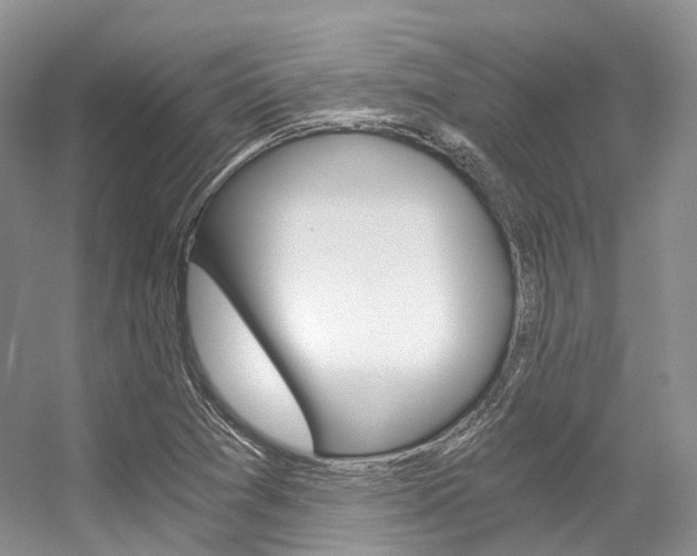X0000056321361200508260840
