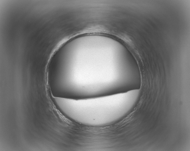 X0000056321366200508260840