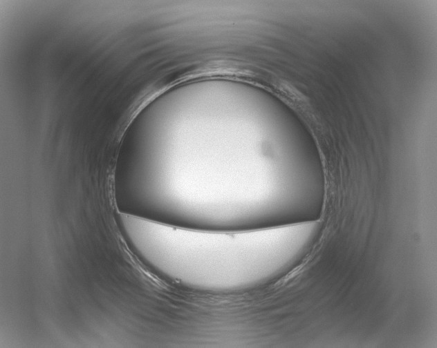 X0000056321369200508260840