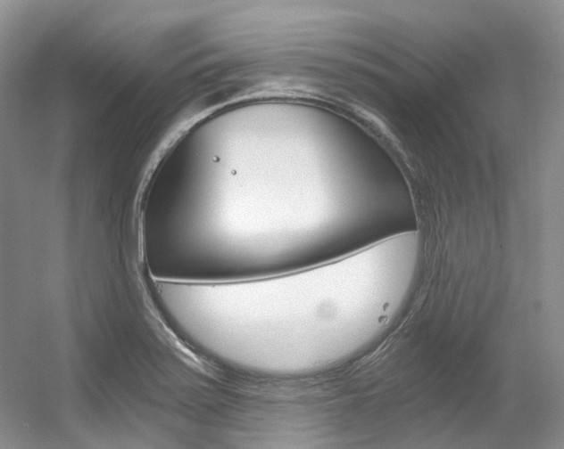 X0000056321371200508260840