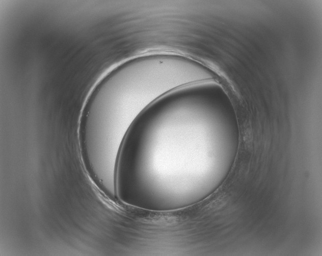 X0000056321372200508260840