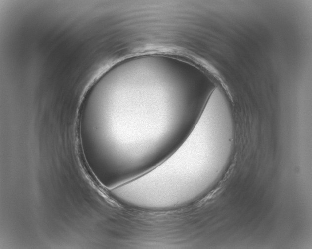 X0000056321373200508260840