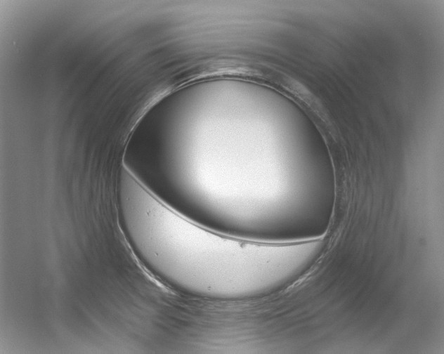 X0000056321377200508260840