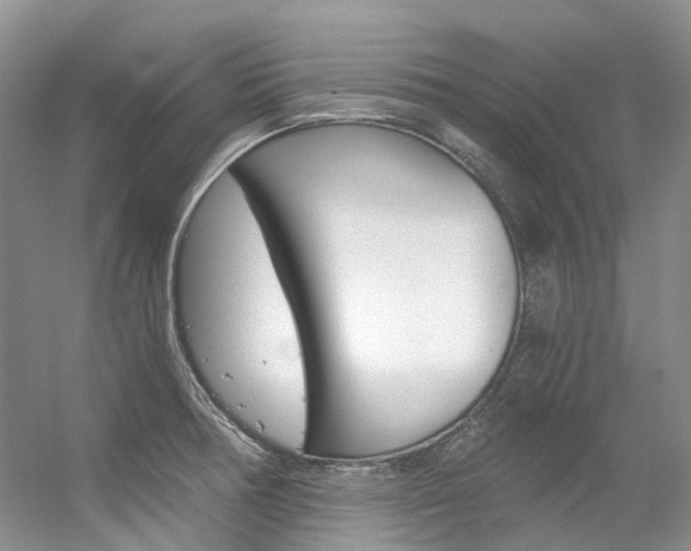 X0000056321378200508260840
