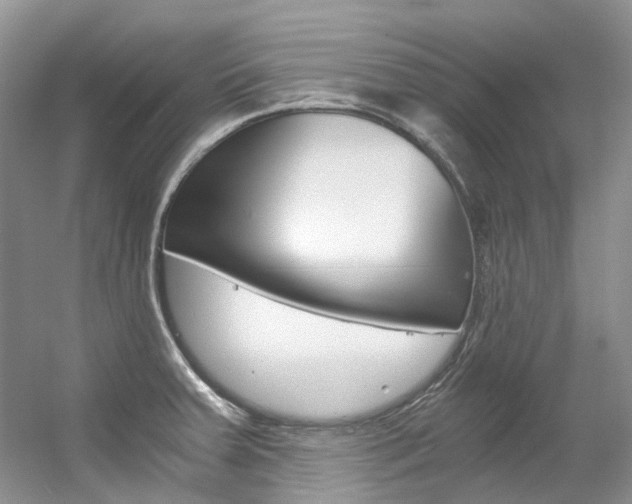 X0000056321379200508260840