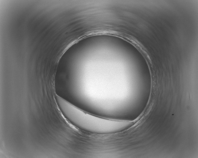 X0000056321385200508260839