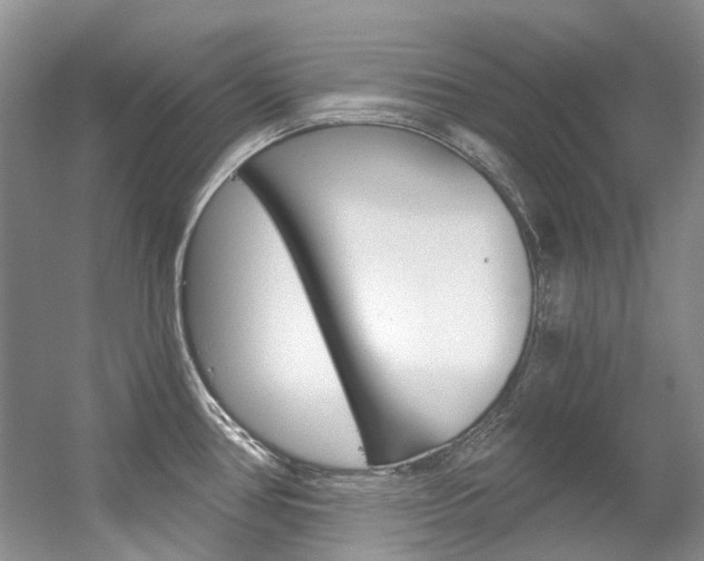 X0000056321386200508260839