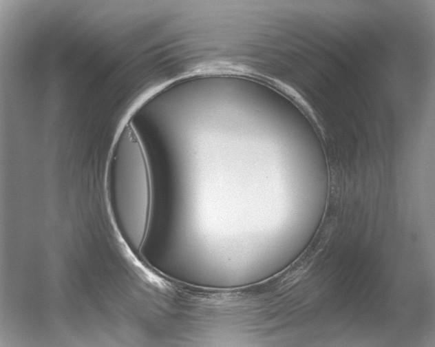 X0000056321387200508260839
