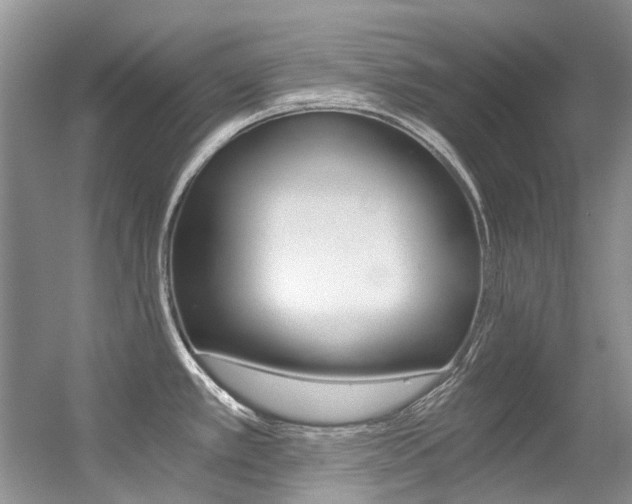 X0000056321389200508260839