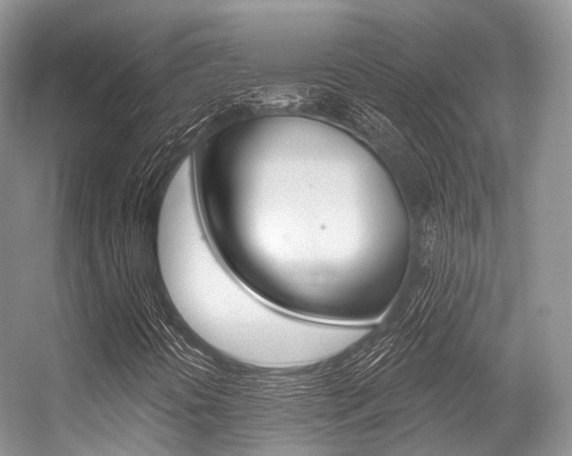 X0000056321394200508260839