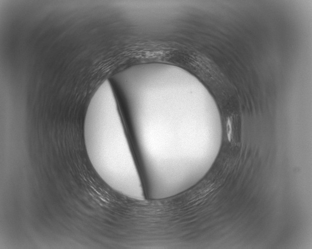 X0000056321395200508260839