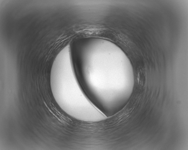 X0000056321396200508260839