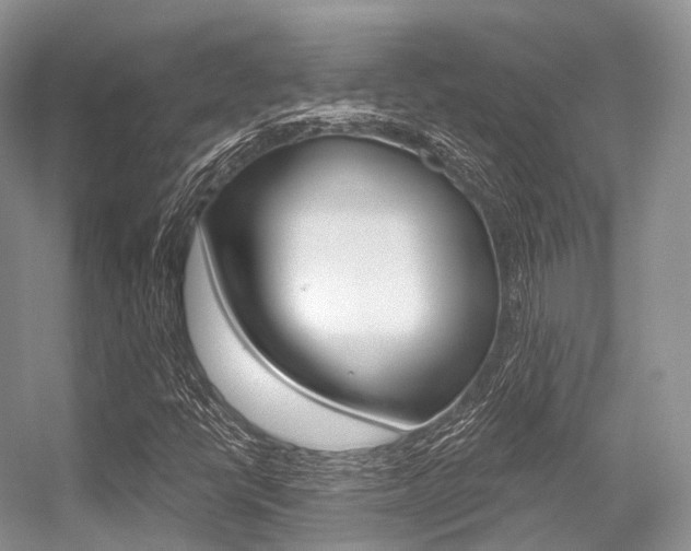 X0000056321398200508260839