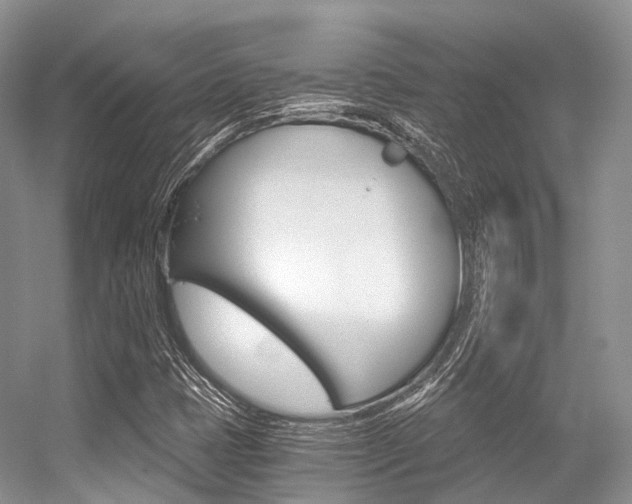 X0000056321401200508260839