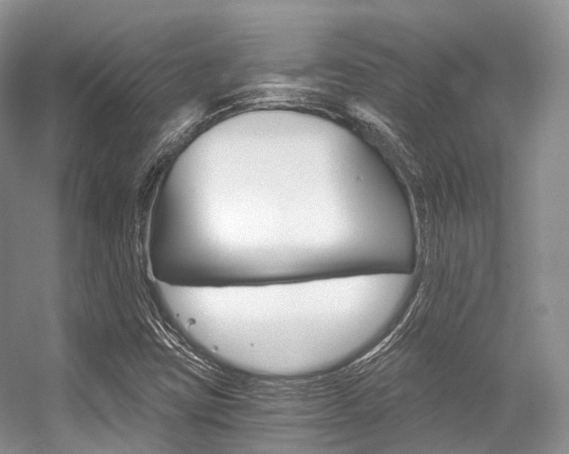X0000056321403200508260839