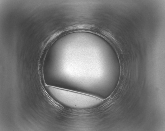 X0000056321404200508260839