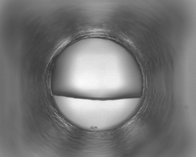 X0000056321405200508260839