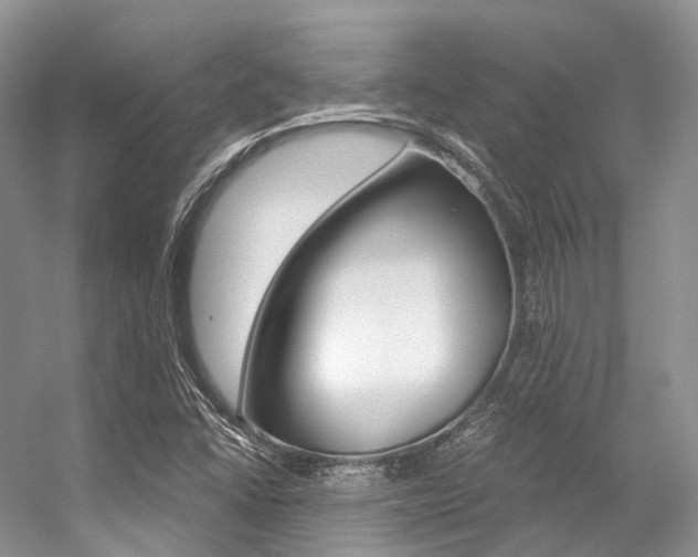 X0000056321406200508260839